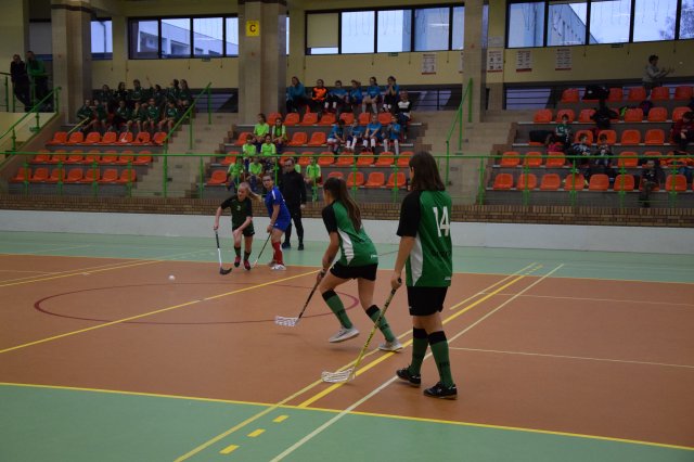 igdzuni 20
